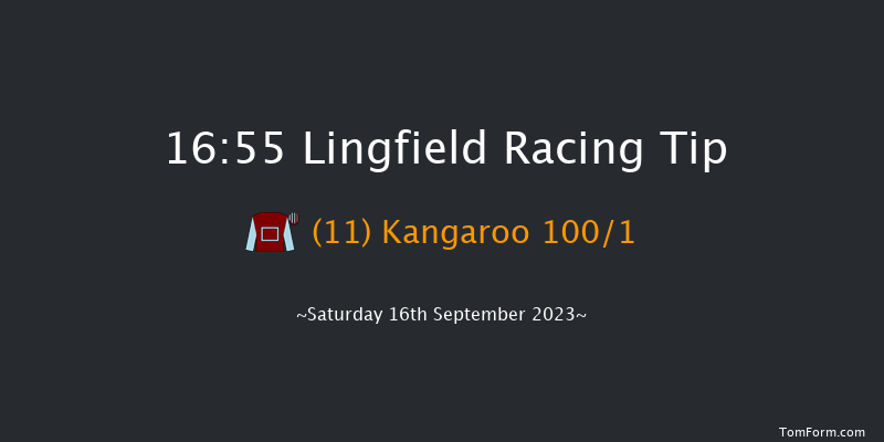 Lingfield 16:55 Handicap (Class 5) 7f Wed 6th Sep 2023