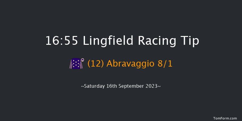 Lingfield 16:55 Handicap (Class 5) 7f Wed 6th Sep 2023