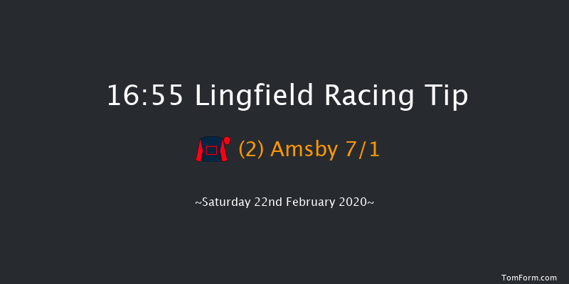 Ladbrokes Where The Nation Plays Novice Stakes Lingfield 16:55 Stakes (Class 5) 8f Fri 21st Feb 2020
