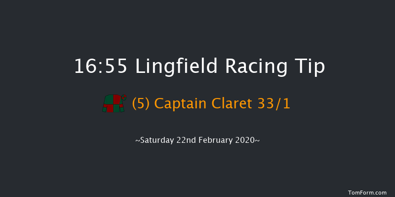 Ladbrokes Where The Nation Plays Novice Stakes Lingfield 16:55 Stakes (Class 5) 8f Fri 21st Feb 2020