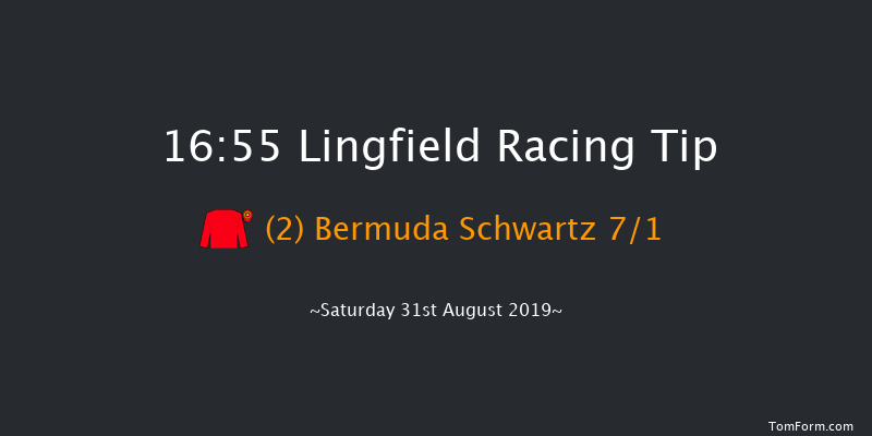 Lingfield 16:55 Stakes (Class 5) 8f Wed 28th Aug 2019