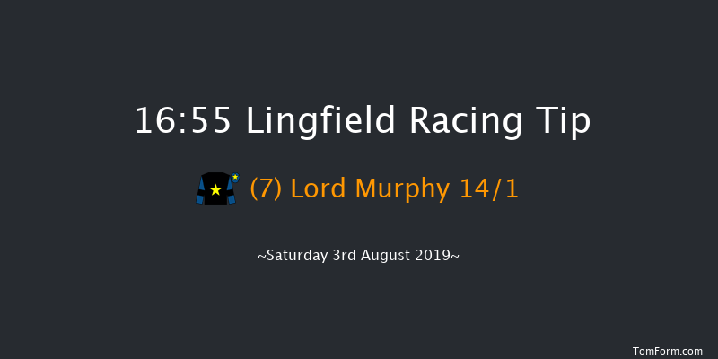 Lingfield 16:55 Handicap (Class 6) 8f Wed 24th Jul 2019