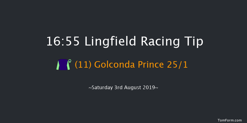 Lingfield 16:55 Handicap (Class 6) 8f Wed 24th Jul 2019