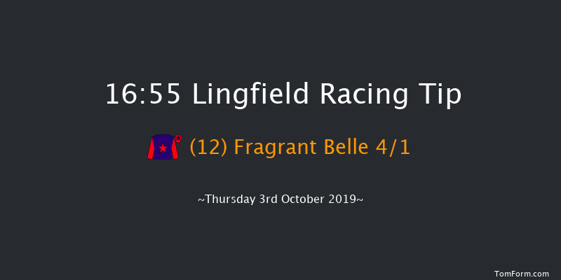 Lingfield 16:55 Handicap (Class 5) 16f Tue 24th Sep 2019