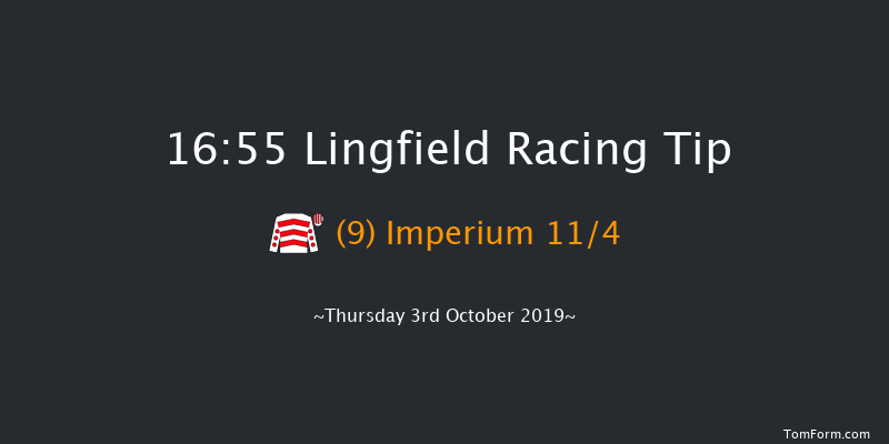 Lingfield 16:55 Handicap (Class 5) 16f Tue 24th Sep 2019