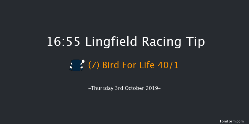 Lingfield 16:55 Handicap (Class 5) 16f Tue 24th Sep 2019