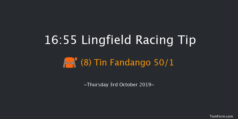 Lingfield 16:55 Handicap (Class 5) 16f Tue 24th Sep 2019