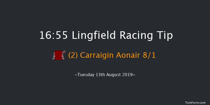 Lingfield 16:55 Handicap (Class 6) 16f Sat 10th Aug 2019
