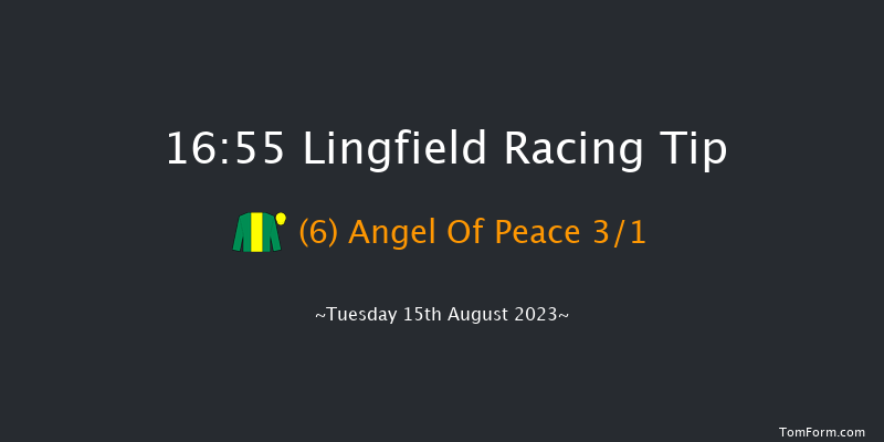 Lingfield 16:55 Handicap (Class 6) 10f Sat 12th Aug 2023