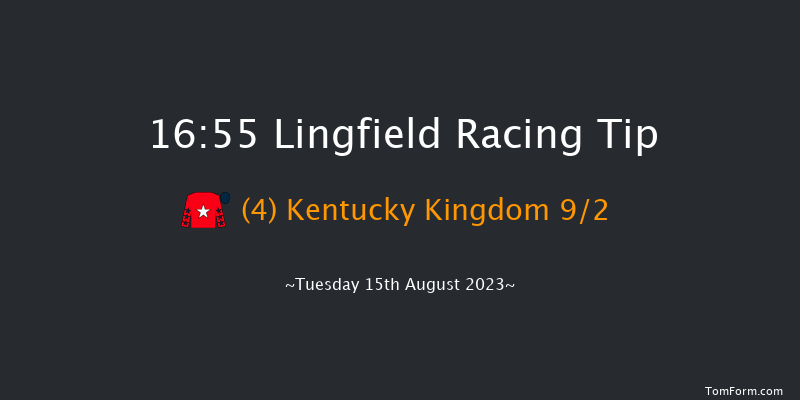 Lingfield 16:55 Handicap (Class 6) 10f Sat 12th Aug 2023