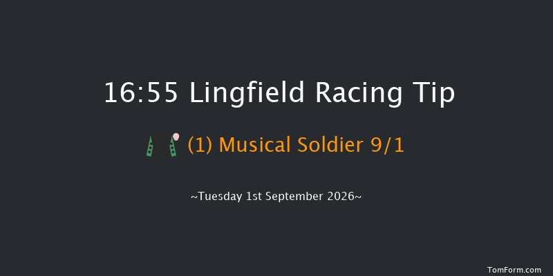 Lingfield 16-55 (Class 6) 8f Thu 27th Aug 2026