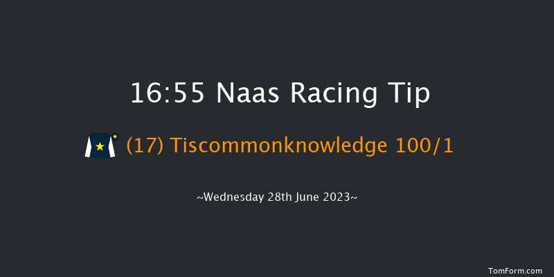 Naas 16:55 Maiden 5f Sun 21st May 2023