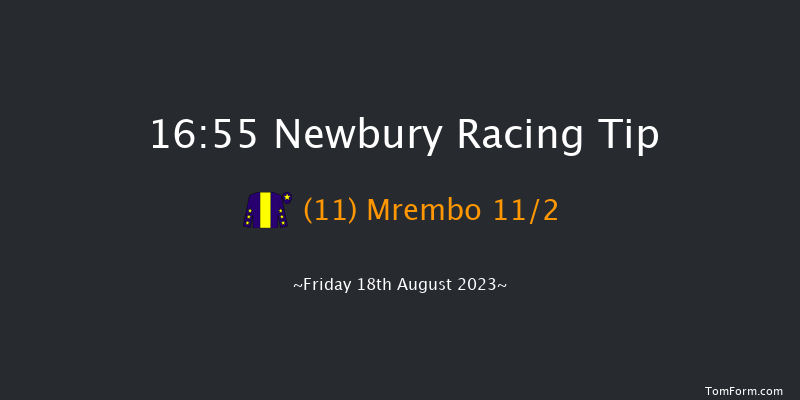 Newbury 16:55 Handicap (Class 5) 10f Thu 27th Jul 2023