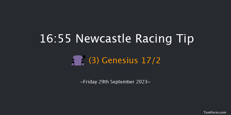 Newcastle 16:55 Handicap (Class 5) 12f Tue 26th Sep 2023