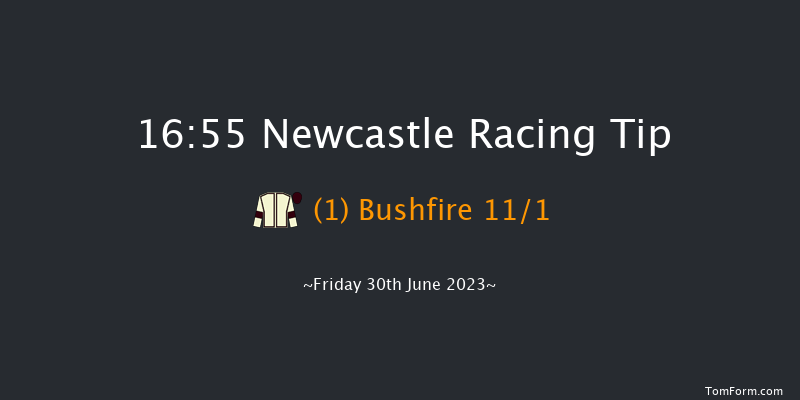 Newcastle 16:55 Handicap (Class 6) 10f Thu 29th Jun 2023