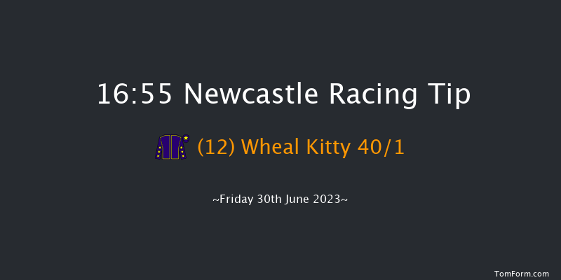 Newcastle 16:55 Handicap (Class 6) 10f Thu 29th Jun 2023