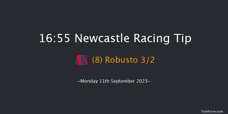 Newcastle 16:55 Handicap (Class 5) 12f Fri 8th Sep 2023