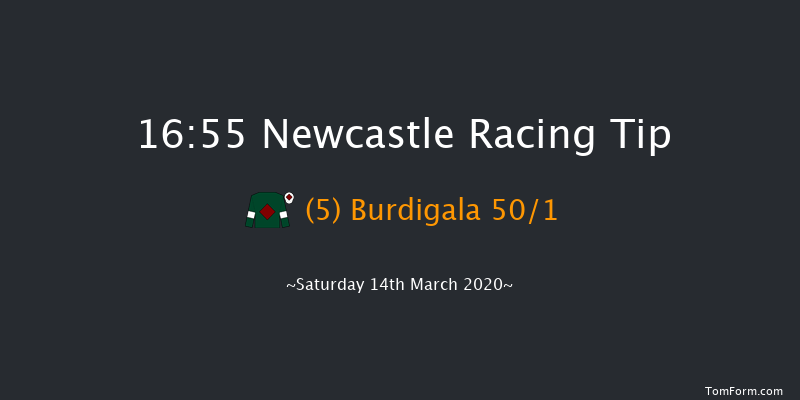 Sports Betting At betuk.com Handicap Hurdle Newcastle 16:55 Handicap Hurdle (Class 4) 20f Tue 10th Mar 2020