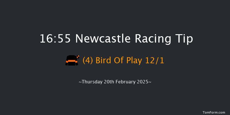 Newcastle  16:55 Handicap (Class 6) 10f Sat 15th Feb 2025