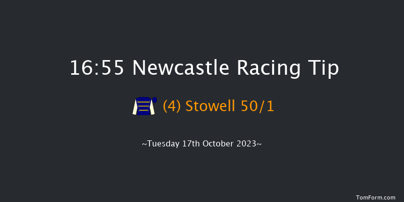 Newcastle 16:55 Handicap (Class 2) 12f Fri 13th Oct 2023