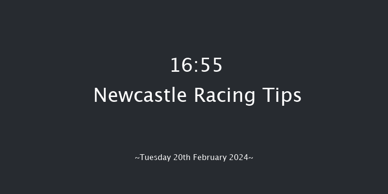 Newcastle  16:55 Handicap
(Class 6) 10f Sat 17th Feb 2024
