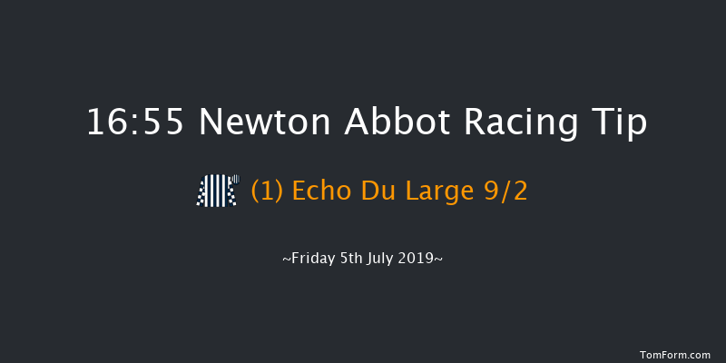 Newton Abbot 16:55 NH Flat Race (Class 5) 17f Thu 1st Jan 1970