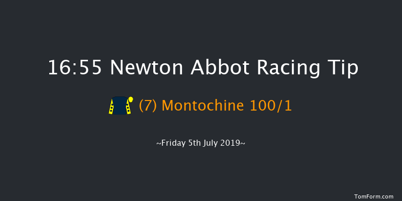 Newton Abbot 16:55 NH Flat Race (Class 5) 17f Thu 1st Jan 1970
