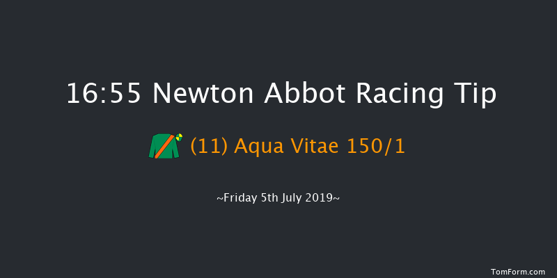 Newton Abbot 16:55 NH Flat Race (Class 5) 17f Thu 1st Jan 1970