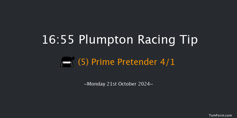 Plumpton  16:55 Handicap Chase (Class 5) 26f Sun 22nd Sep 2024