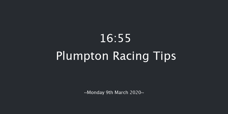 New Plumpton History Book Available Now Handicap Hurdle Plumpton 16:55 Handicap Hurdle (Class 5) 16f Mon 10th Feb 2020