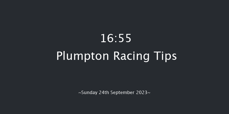 Plumpton 16:55 NH Flat Race (Class 5) 18f Sun 14th May 2023