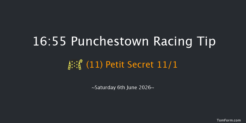 Punchestown 16-55 19f Wed 13th May 2026