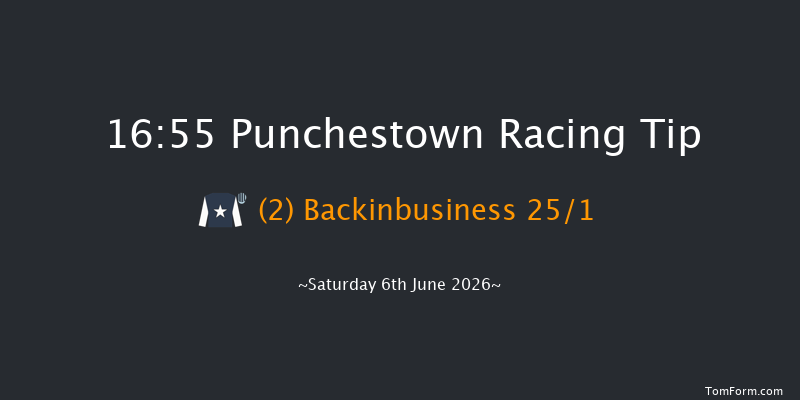 Punchestown 16-55 19f Wed 13th May 2026
