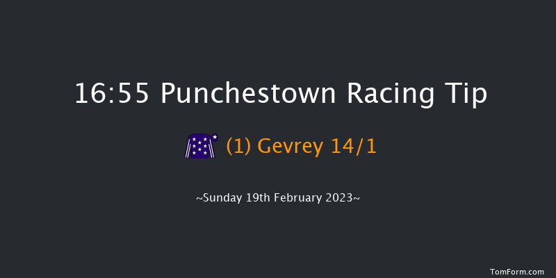 Punchestown 16:55 Stakes 16f Mon 30th Jan 2023
