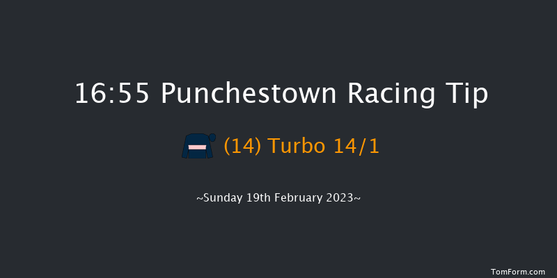 Punchestown 16:55 Stakes 16f Mon 30th Jan 2023