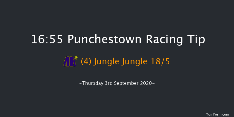 Irish Racing Working Together Handicap (45-65) (Div 2) Punchestown 16:55 Handicap 9f Wed 19th Feb 2020