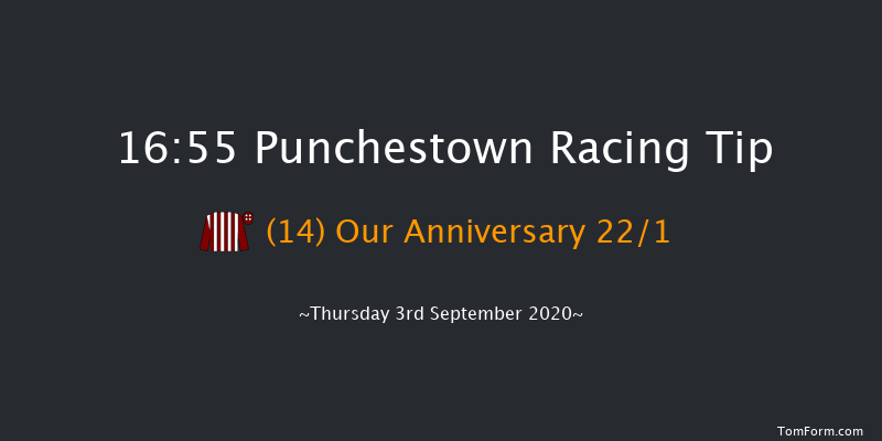 Irish Racing Working Together Handicap (45-65) (Div 2) Punchestown 16:55 Handicap 9f Wed 19th Feb 2020