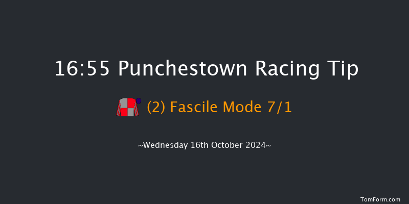 Punchestown  16:55 Maiden Chase 17f Tue 15th Oct 2024