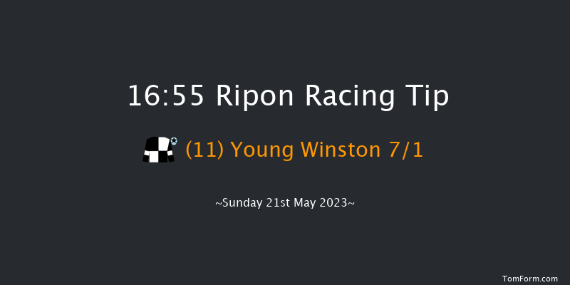 Ripon 16:55 Handicap (Class 5) 10f Fri 12th May 2023