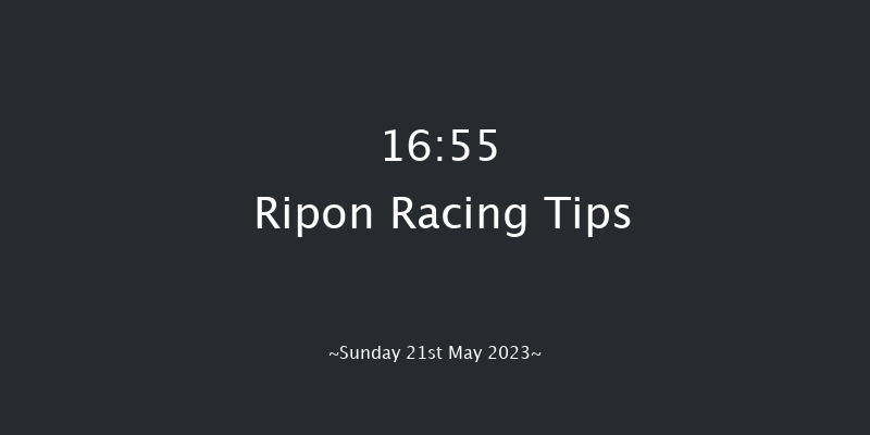 Ripon 16:55 Handicap (Class 5) 10f Fri 12th May 2023
