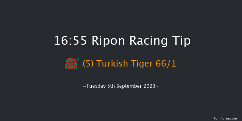 Ripon 16:55 Maiden (Class 5) 6f Tue 29th Aug 2023