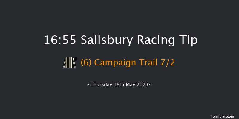 Salisbury 16:55 Handicap (Class 5) 12f Thu 4th May 2023
