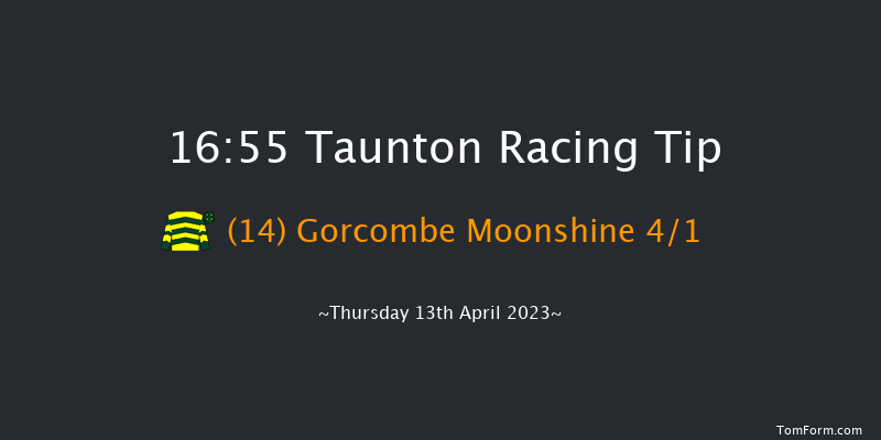 Taunton 16:55 Handicap Hurdle (Class 5) 16f Thu 30th Mar 2023