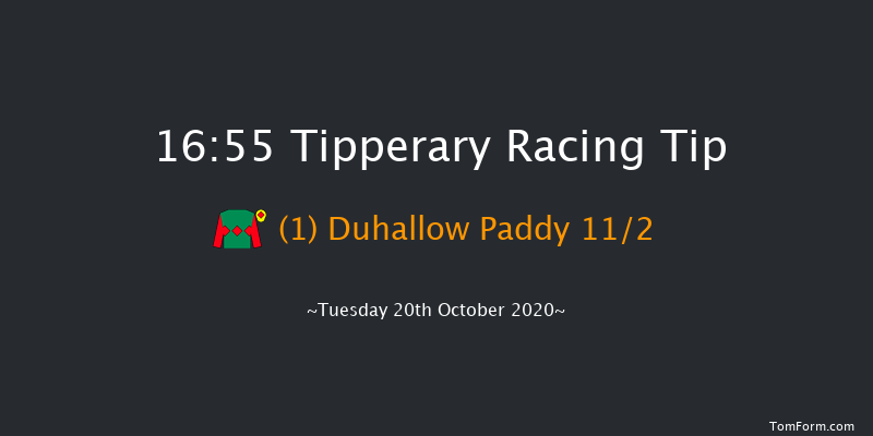 Golden Handicap Chase (0-95) (Div 2) Tipperary 16:55 Handicap Chase 20f Sun 4th Oct 2020