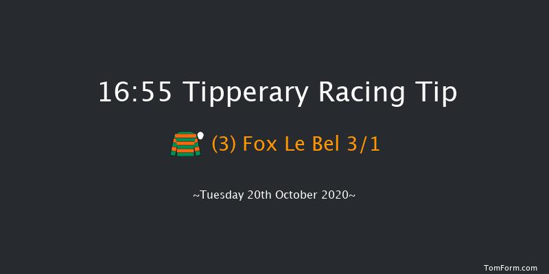 Golden Handicap Chase (0-95) (Div 2) Tipperary 16:55 Handicap Chase 20f Sun 4th Oct 2020