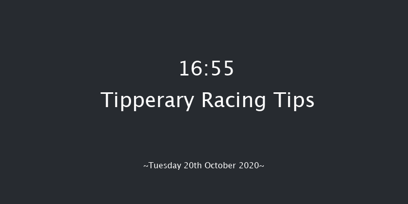Golden Handicap Chase (0-95) (Div 2) Tipperary 16:55 Handicap Chase 20f Sun 4th Oct 2020