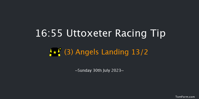 Uttoxeter 16:55 Handicap Hurdle (Class 5) 16f Fri 28th Jul 2023