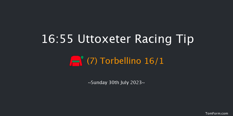 Uttoxeter 16:55 Handicap Hurdle (Class 5) 16f Fri 28th Jul 2023
