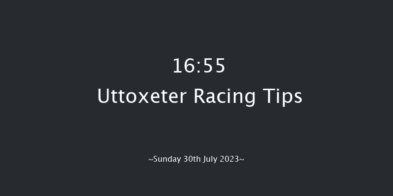 Uttoxeter 16:55 Handicap Hurdle (Class 5) 16f Fri 28th Jul 2023