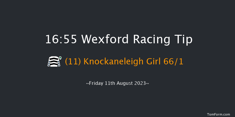 Wexford 16:55 Maiden Hurdle 17f Fri 7th Jul 2023